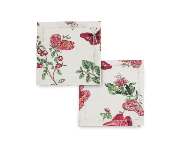 Photo of the Baudin Butterfly | Cocktail Napkin Set ensemble.