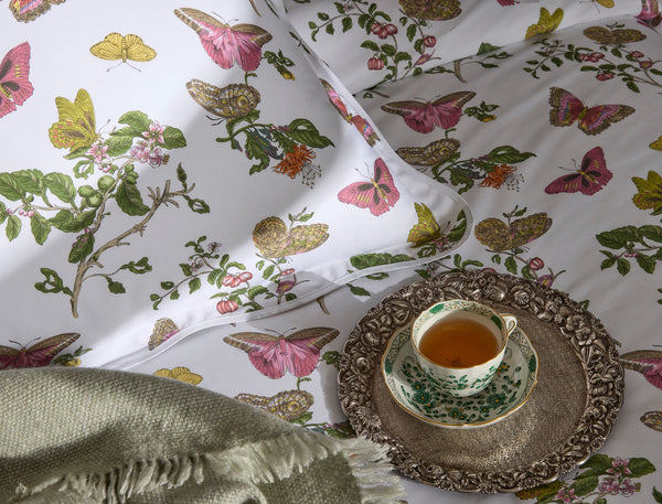 Photo of the Baudin Butterfly | Flat Sheet ensemble.