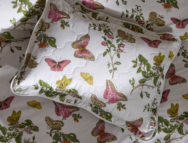 Photo of the Baudin Butterfly | Quilted Sham ensemble.