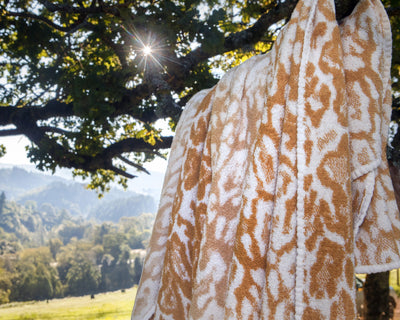 A brown and white patterned towel hangs on a tree branch with a scenic rural landscape and sunlight in the background.