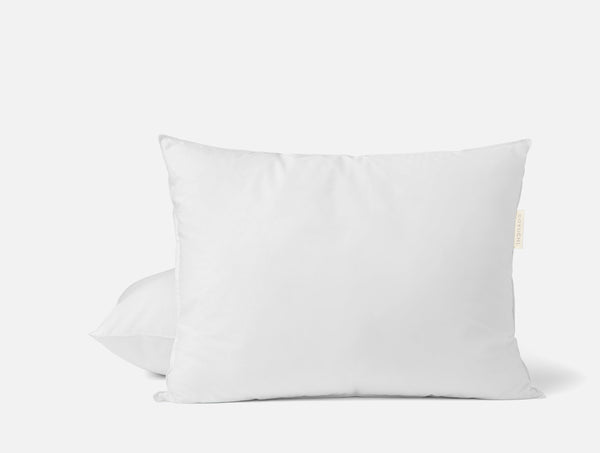 Down | Bedding