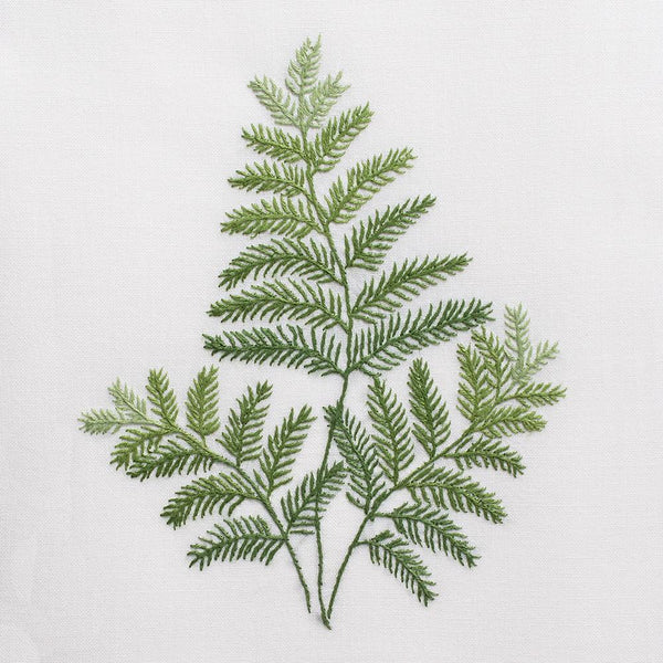 Photo of the Fern ensemble.