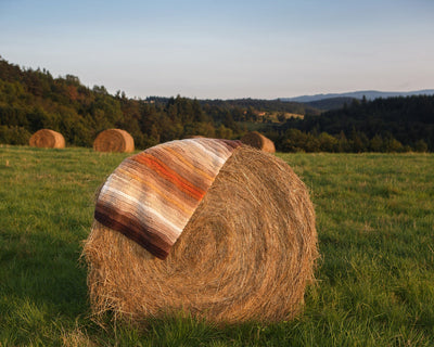 A rolled hay bale in a grassy field with a striped fabric draped over it; more hay bales and trees are visible in the background.