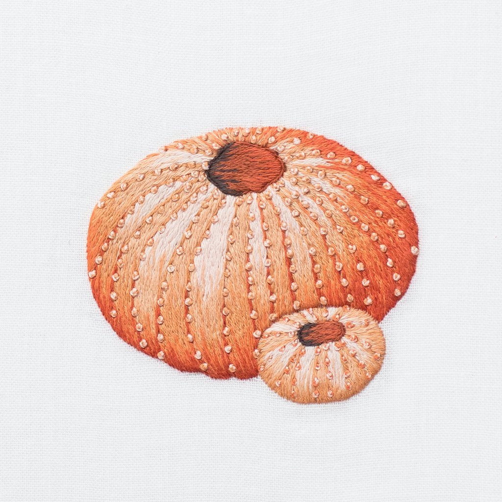 Image of Henry Handwork Urchin Blush Motif