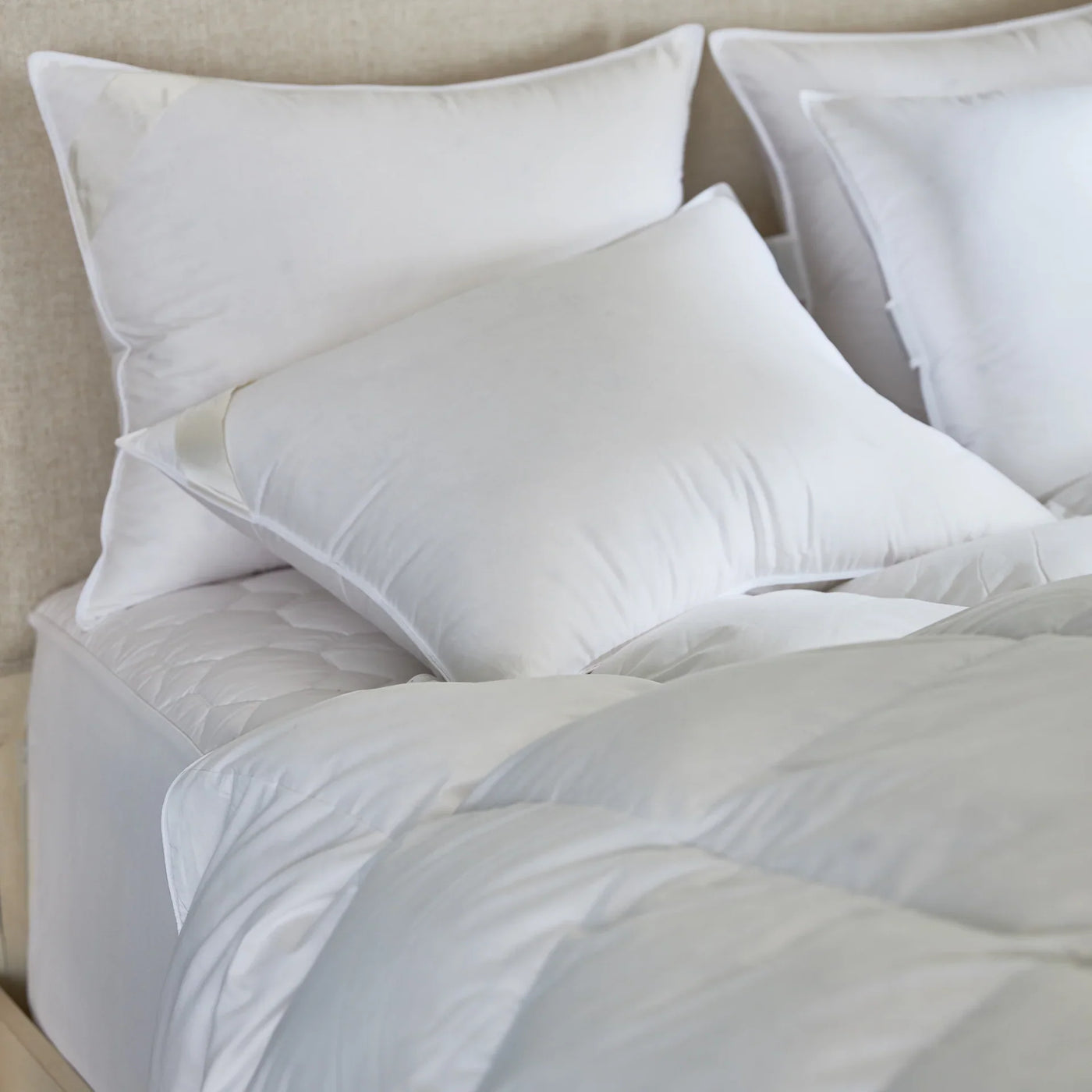 Sferra Chamonix white down pillow insert on a bed with white bedding.