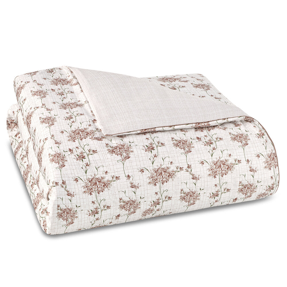 Encanto in Tiramisú by Amalia Home Collection
