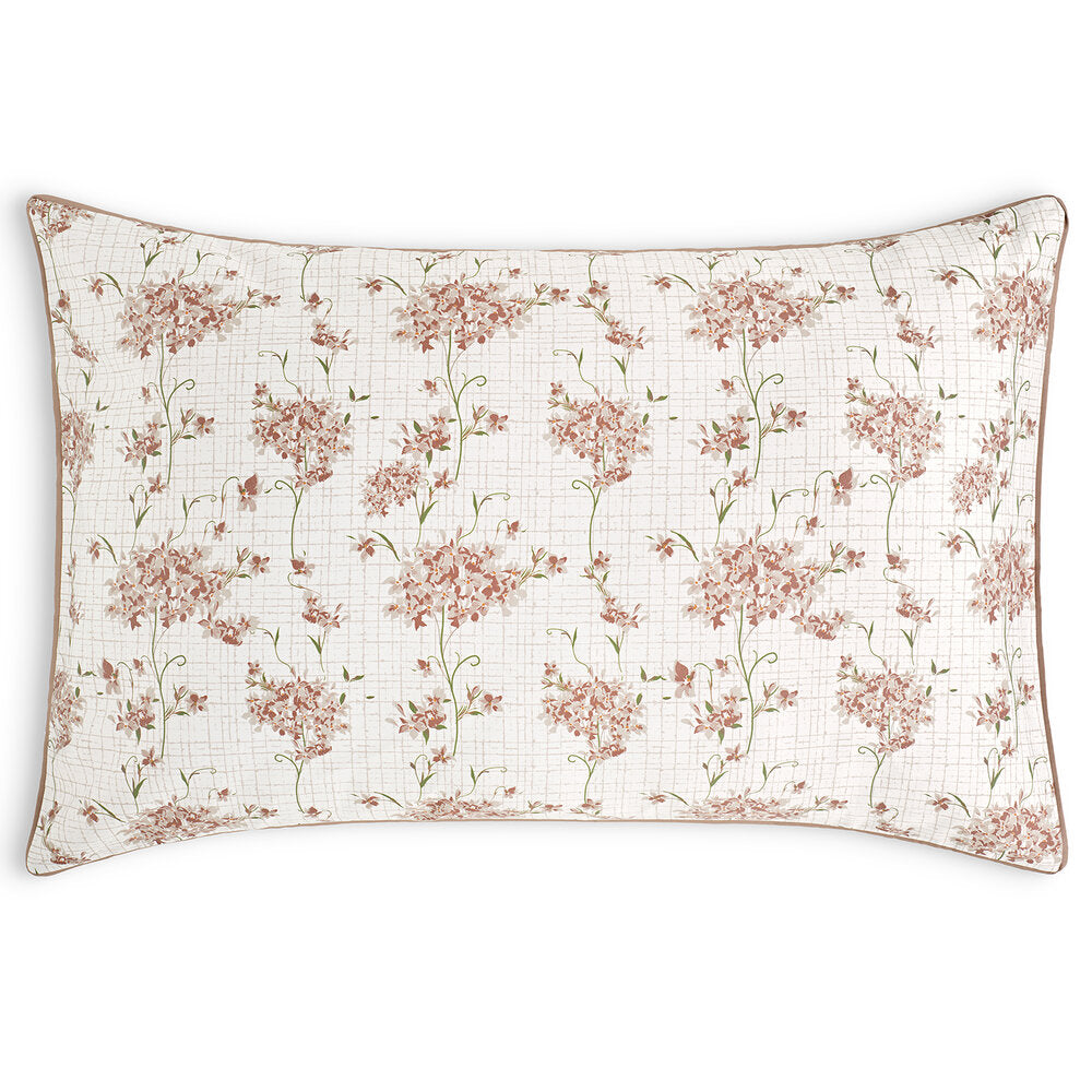 Encanto by Amalia Home Collection
