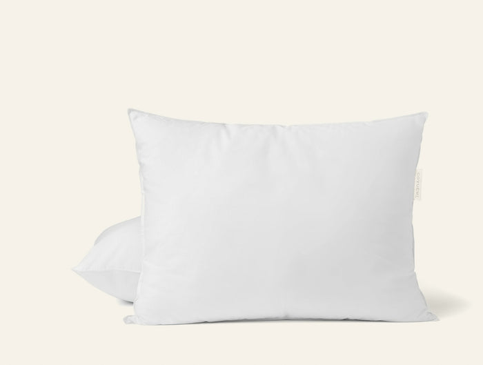 Photo of the Down | Pillow Insert ensemble.