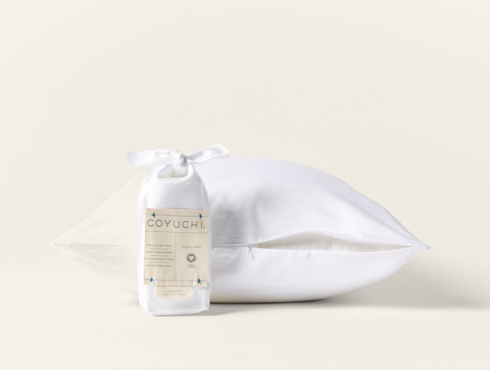 Photo of the Pillow Protector | Pillow Protector ensemble.