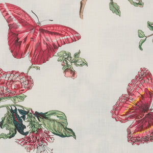 Photo of the Baudin Butterfly | Table Runner ensemble.