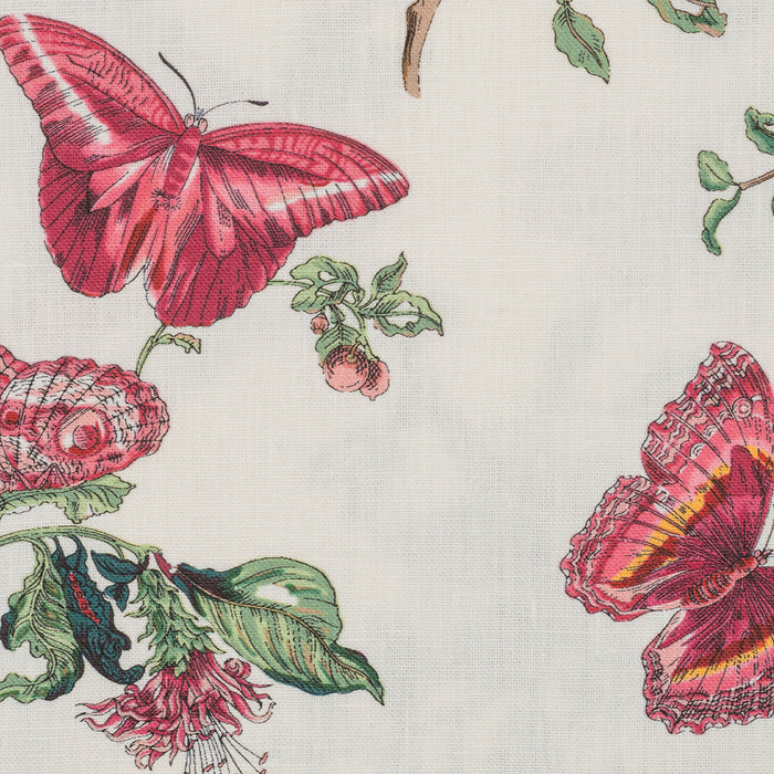 Photo of the Baudin Butterfly | Table Runner ensemble.