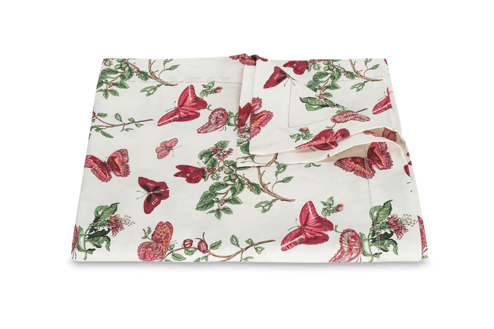 Photo of the Baudin Butterfly | Tablecloth ensemble.