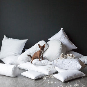Photo of the Essential Down | Dec Pillow Insert ensemble.
