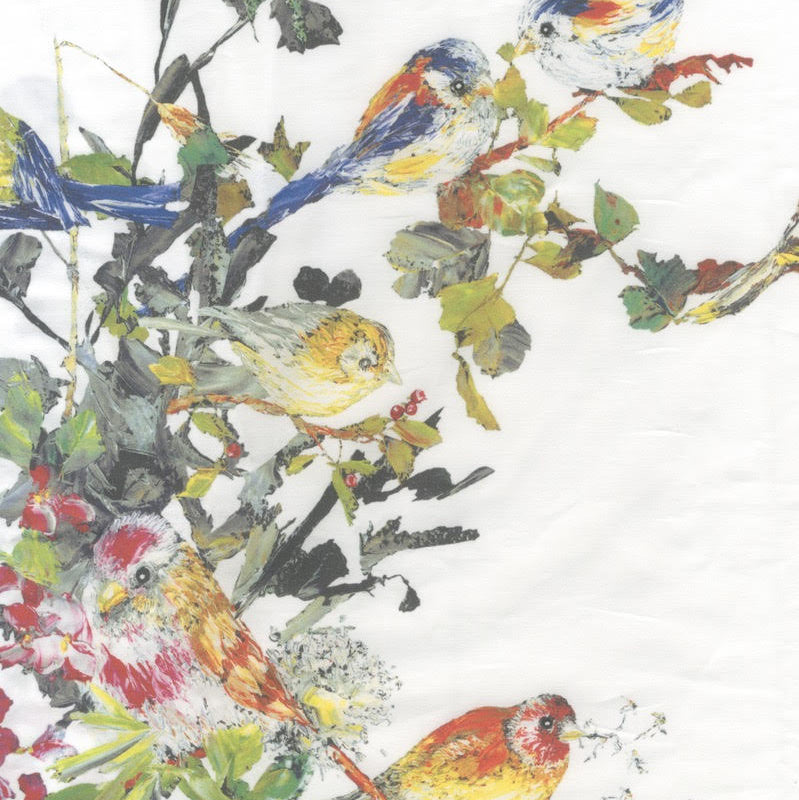 Colorful birds on branches with leaves and berries on a white background