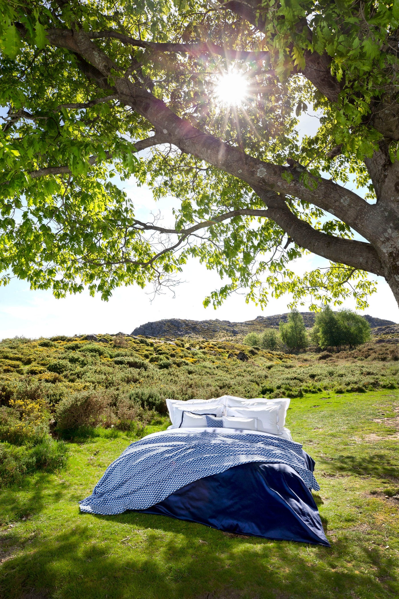 A bed with white pillows and a blue patterned duvet is set up outdoors on a grassy hill under a large tree with dappled sunlight. featuring Areo Pillowcase by Celso de Lemos available at Linen Society.