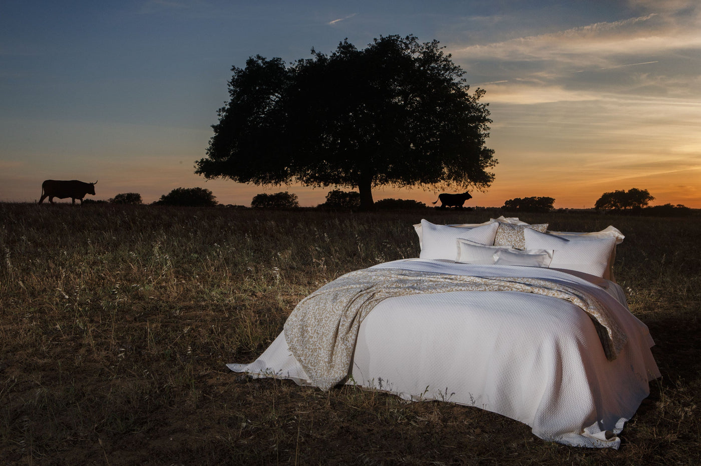 A bed with white bedding and a textured throw is set in a field at sunset, with cows and a silhouetted tree in the background, featuring Capela Pillowcase by Celso de Lemos available at Linen Society.