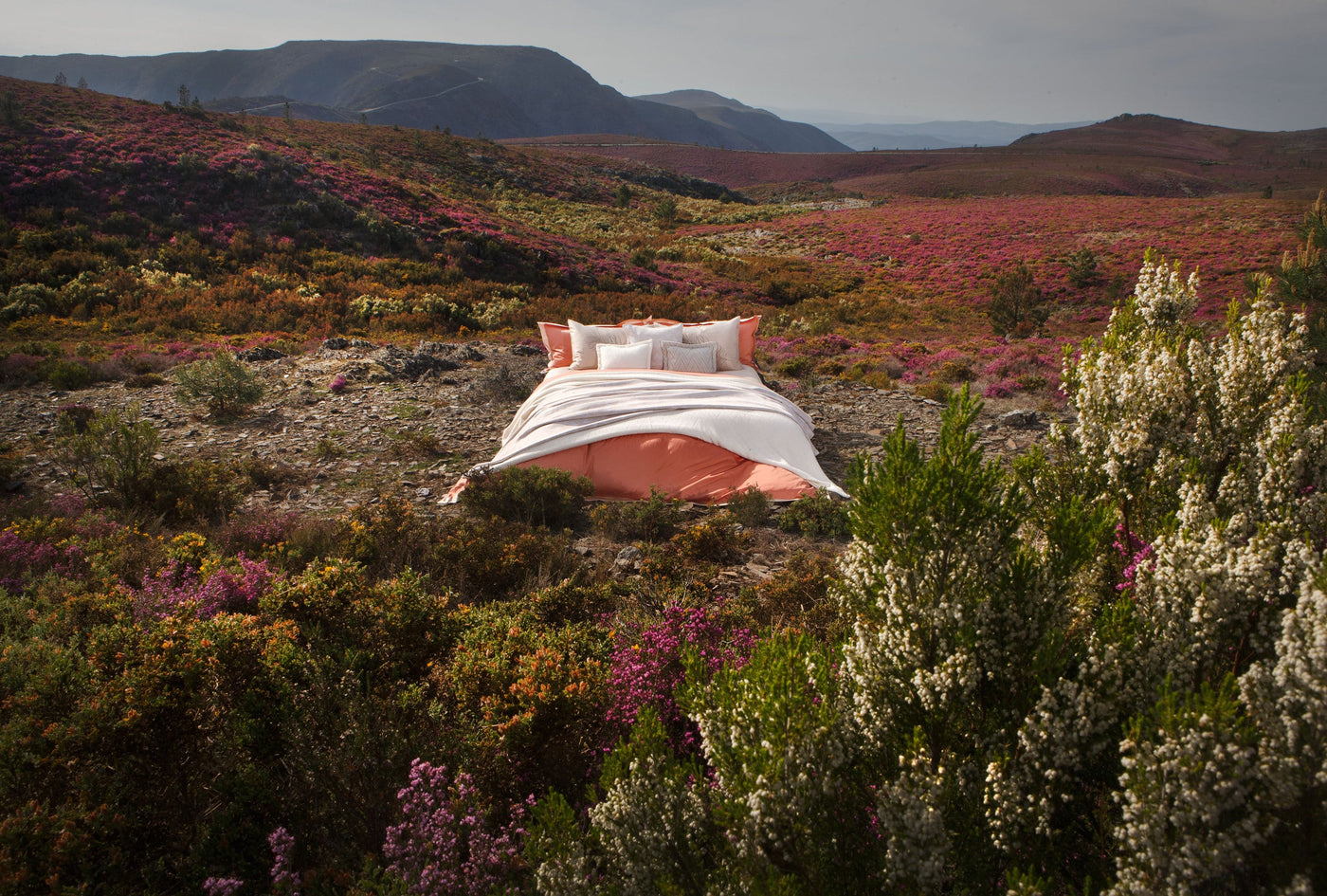 A bed with coral sheets is placed on a hillside covered in heather and wildflowers, featuring Emma Pillowcase by Celso de Lemos available at Linen Society.