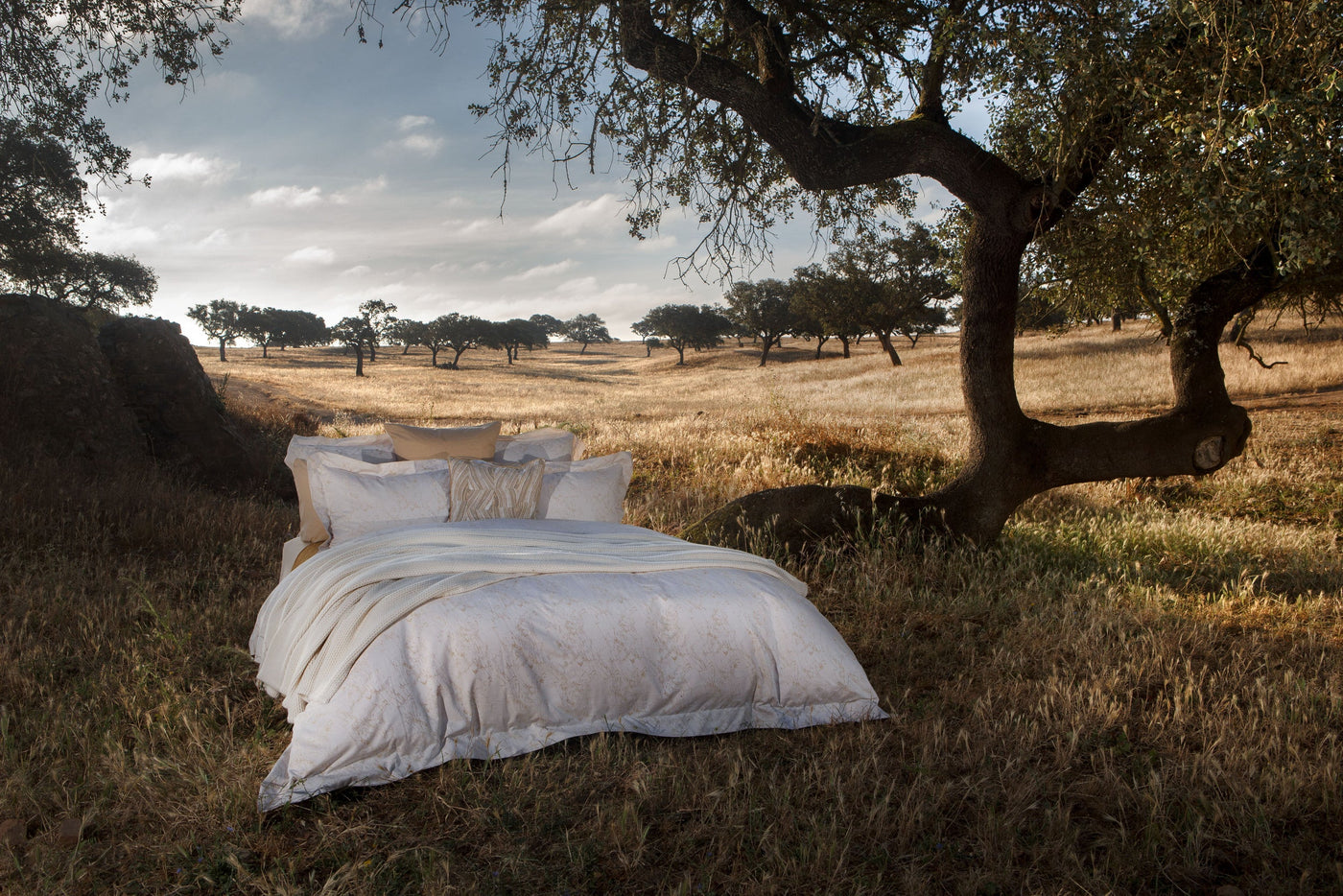 Celso de Lemos Parus bed styled outdoors in golden grassland, ivory linen bedding.