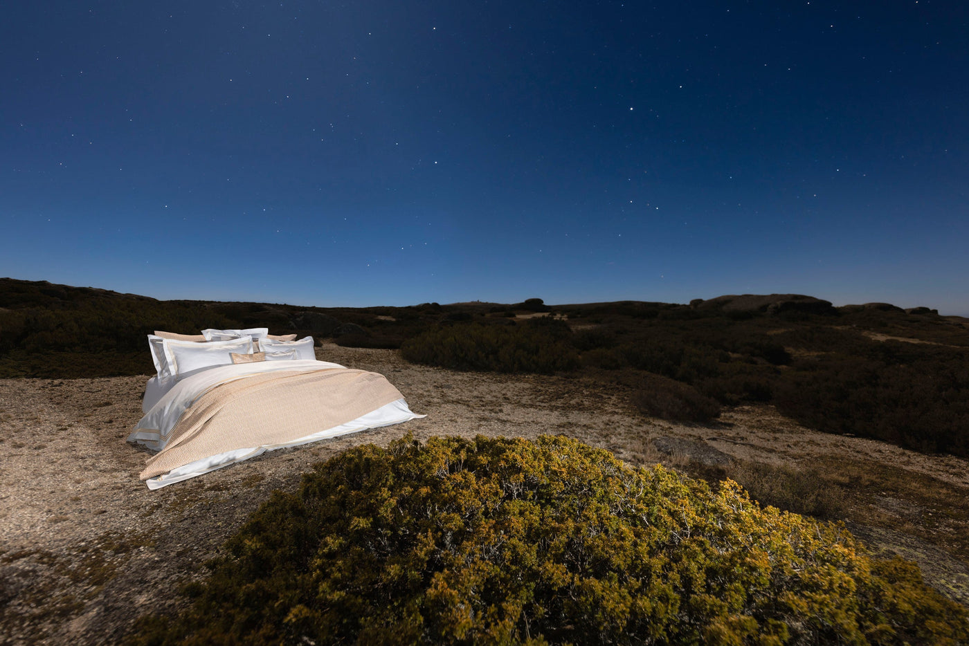 Celso de Lemos Ram duvet cover styled on a bed outdoors under a starry night sky.