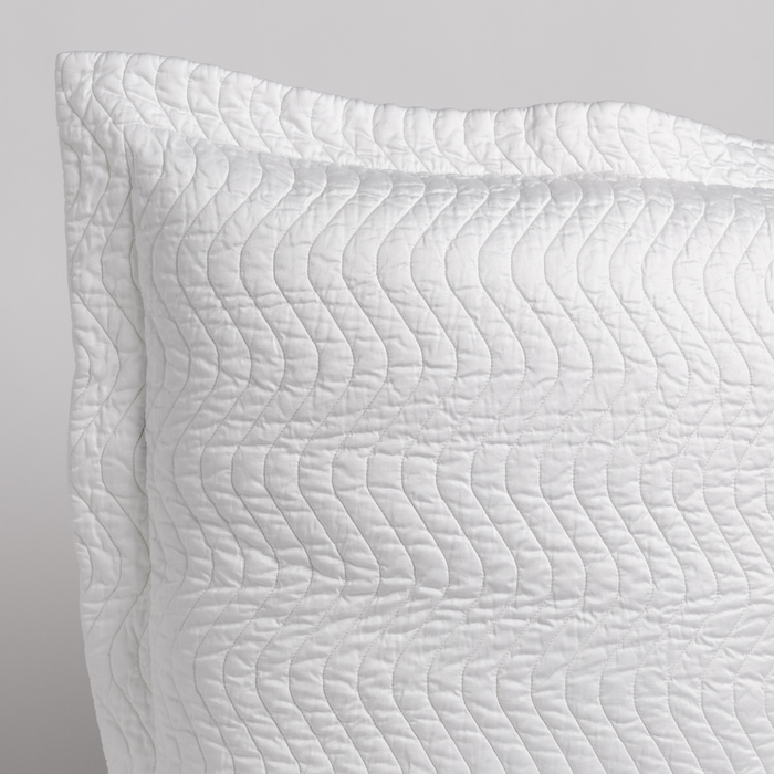 Photo of the Cirillo | Sham ensemble.