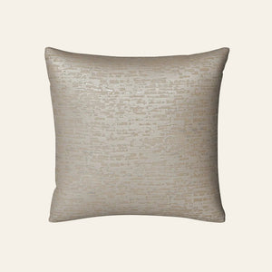 Photo of the Delphi | Sham ensemble.