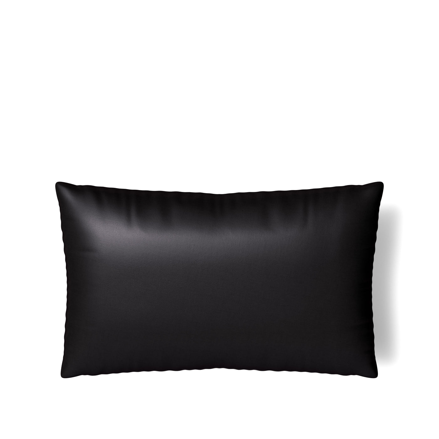 Ann Gish Duchess pillow in black, shown from the back on a white background.