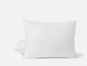 Photo of the Down | Pillow Insert ensemble.