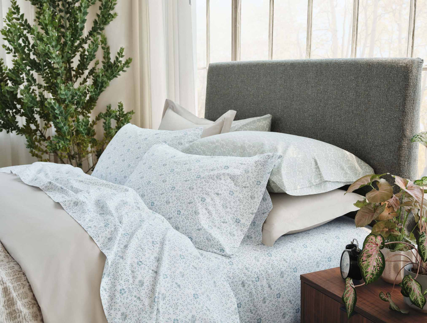 Coyuchi Print Percale pillowcases in sage floral pattern styled on a made bed with plants.