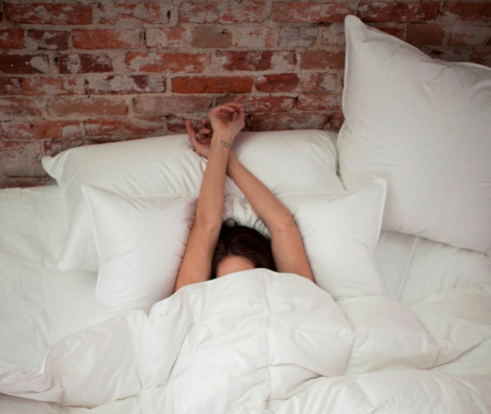 Flora Summer | Hypodown Pillow