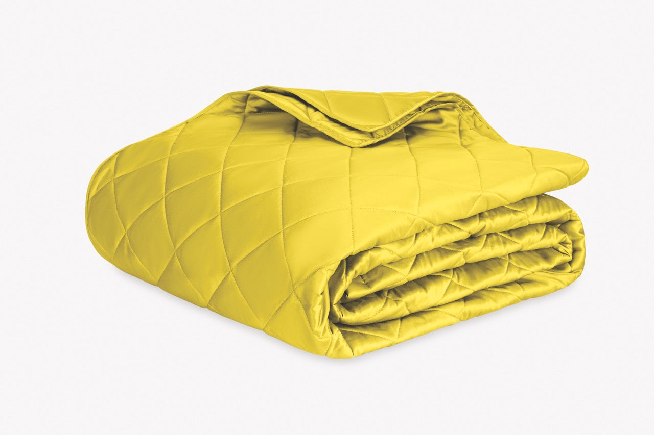 Image of Matouk Nocturne quilt in color quilt in color lemon.