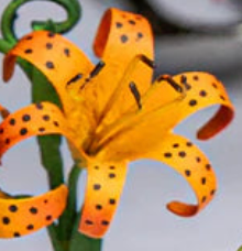 Orange and black-spotted lily bloom on Juliska Meadow Walk place card holder.