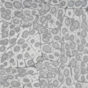 Close-up of Callas pattern fabric texture in grey tones with oval motifs.