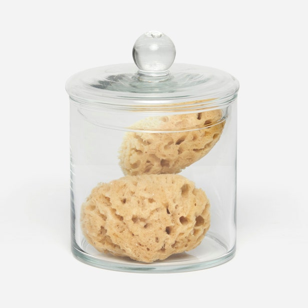Pigeon & Poodle Darby bath canister with glass lid holding two natural sea sponges.