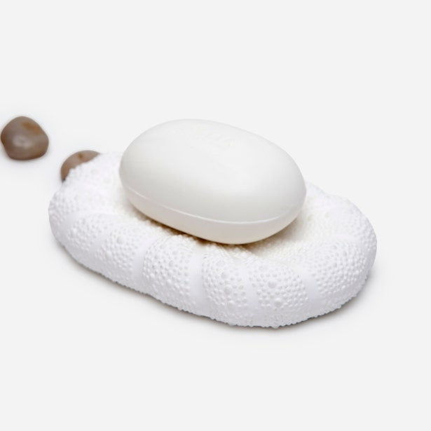 Pigeon & Poodle Hilo soap dish in white with textured sea urchin surface holding oval bar soap.