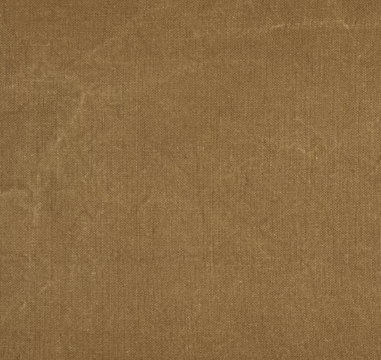 The Pacific Place Mat