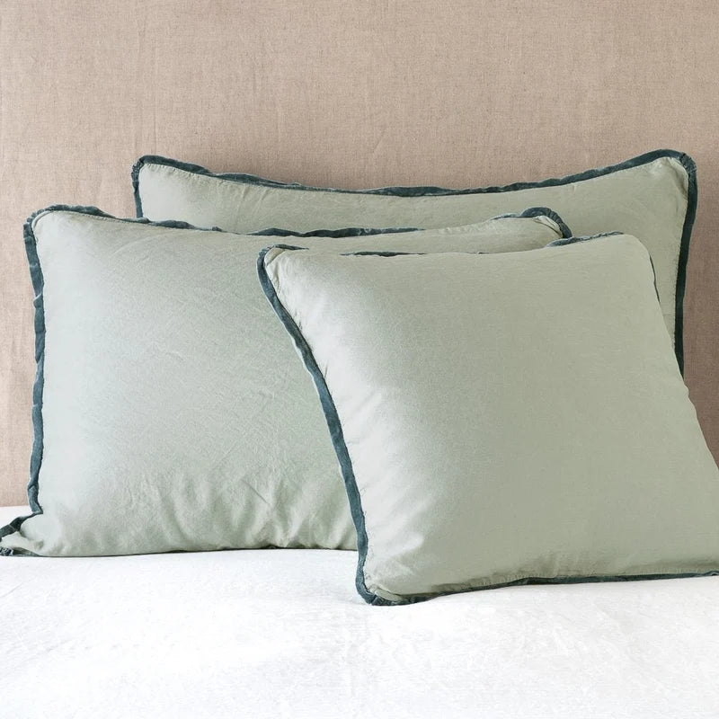Paloma | Sham