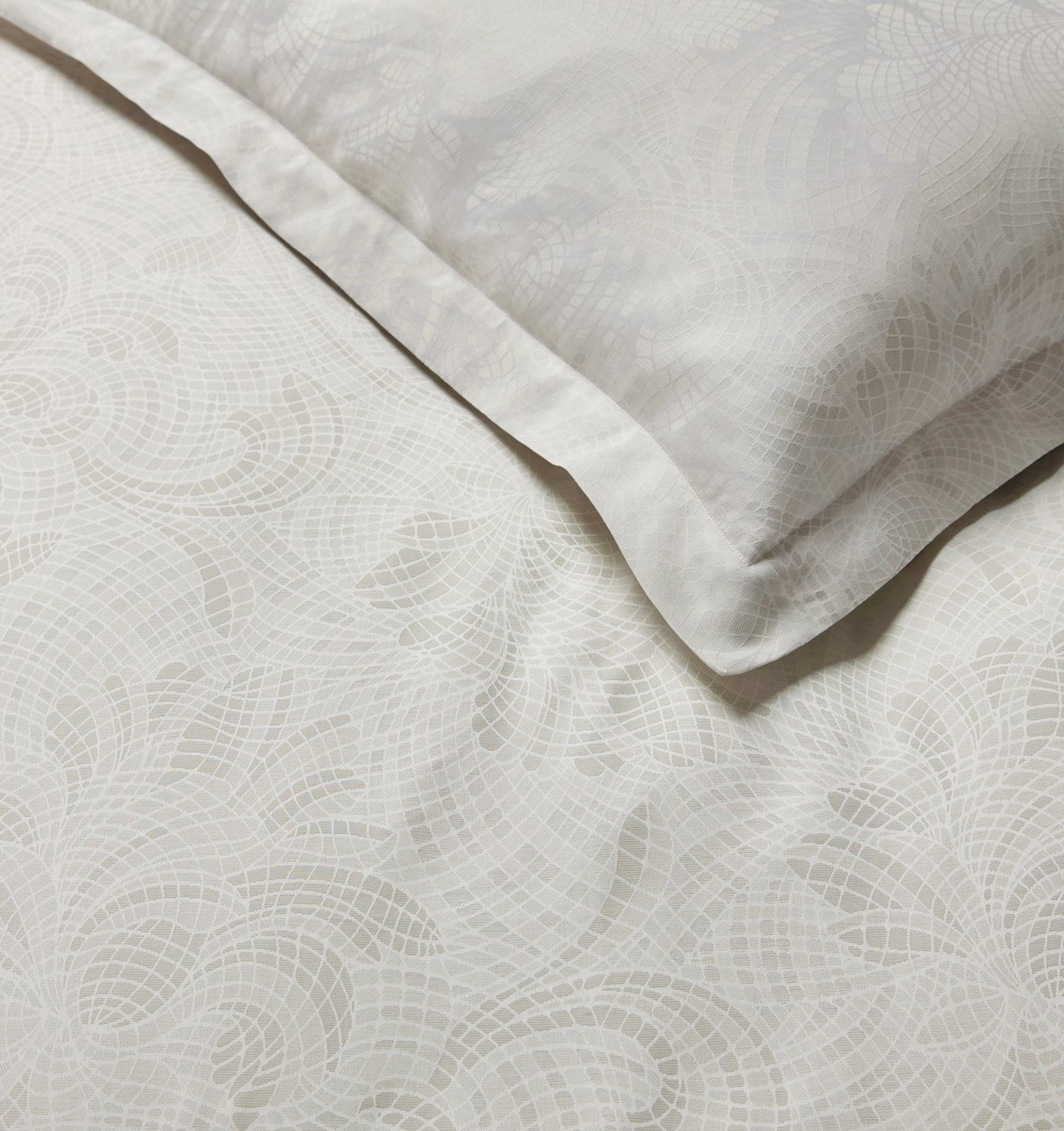 Sferra Leonessa | Sham