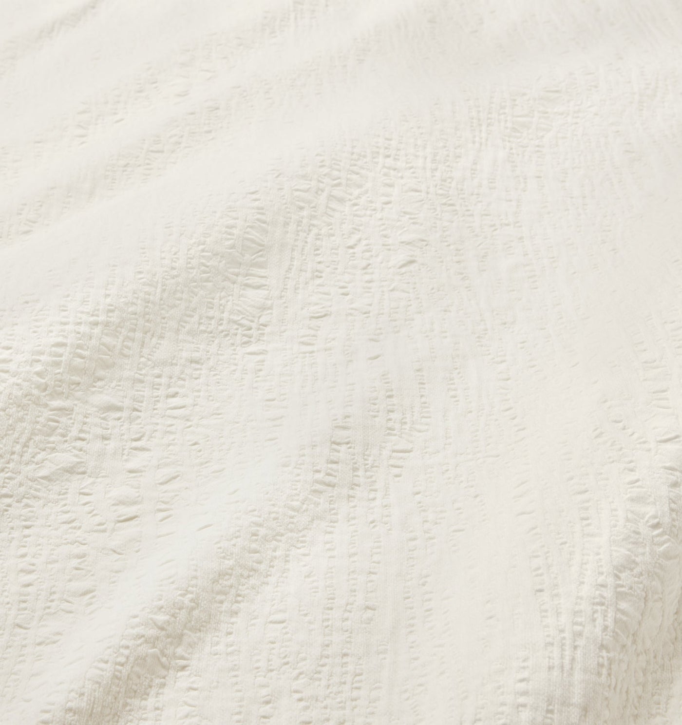 Sferra Sabino | Sham Oyster