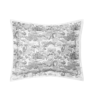 Photo of the Viaterra | Sham ensemble.