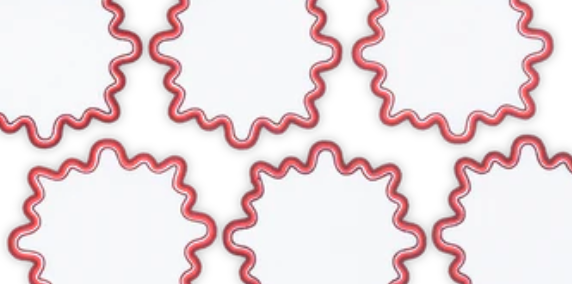 The Wave Cocktail Napkin Set by Matouk features six round napkins with wavy, two-tone borders arranged neatly on a white background, reminiscent of an elegant embroidered linen tabletop.