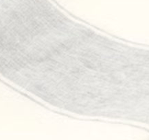 The Ajaccio Tea Towel Set