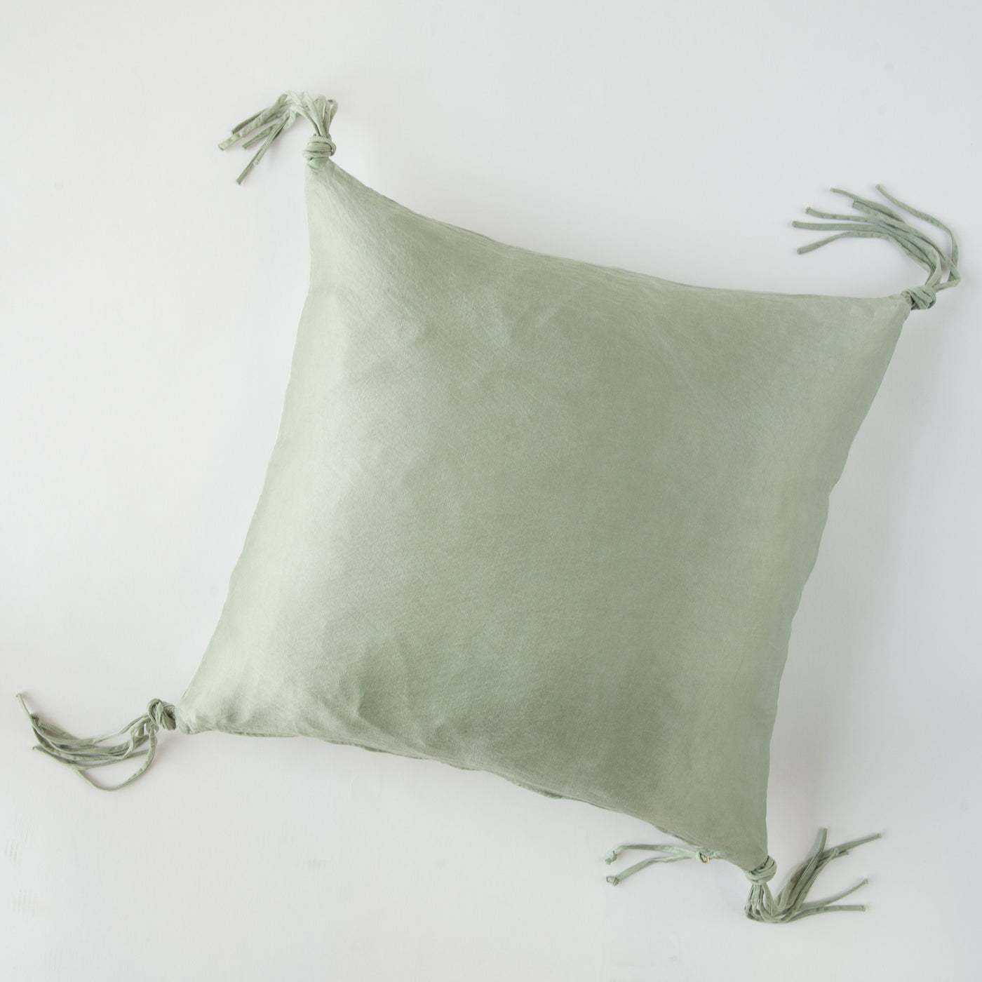 Eucalyptus velvet throw pillow with knotted tassel detail at each corner, overhead view.