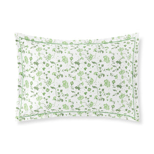 Photo of the Vila Flor Shams ensemble.