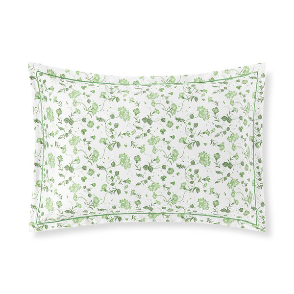 Photo of the Vila Flor Shams ensemble.