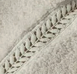 Close-up of braided wreath border detail on platinum cotton terry.
