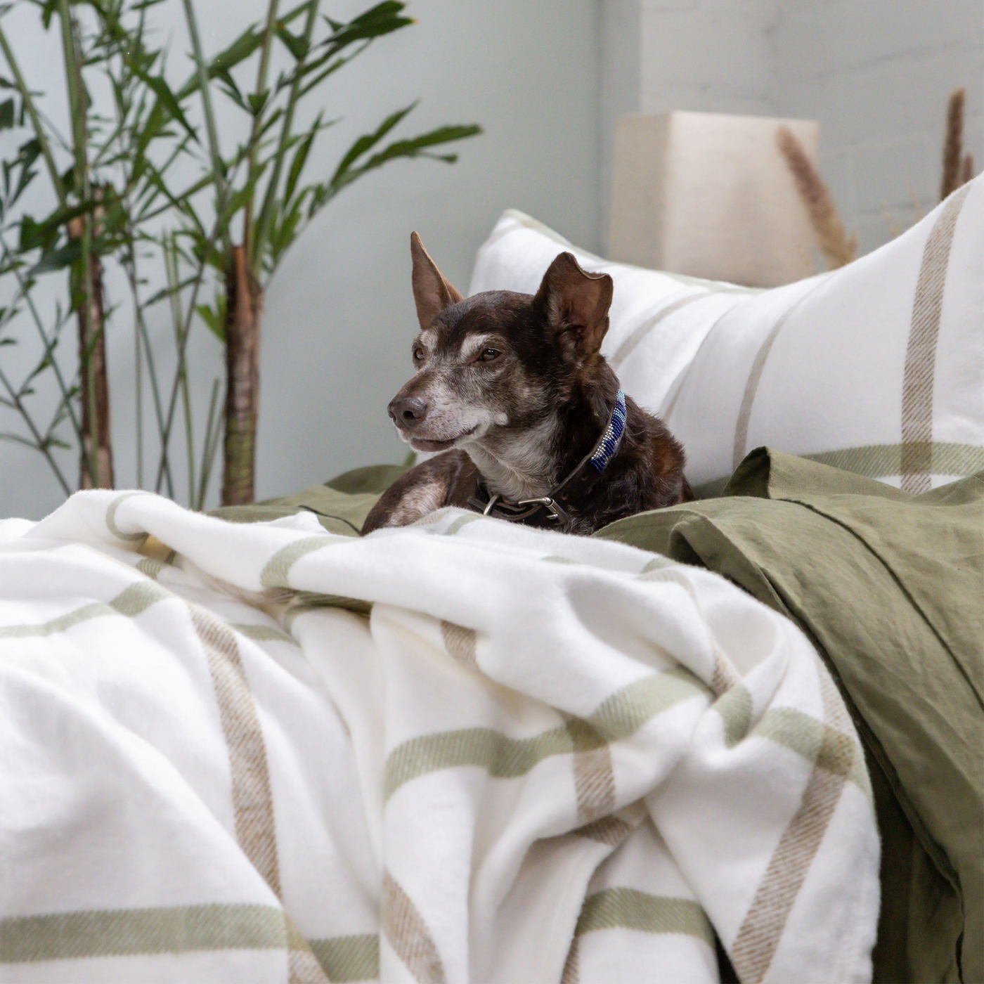 Copenhagen | Throw Blanket