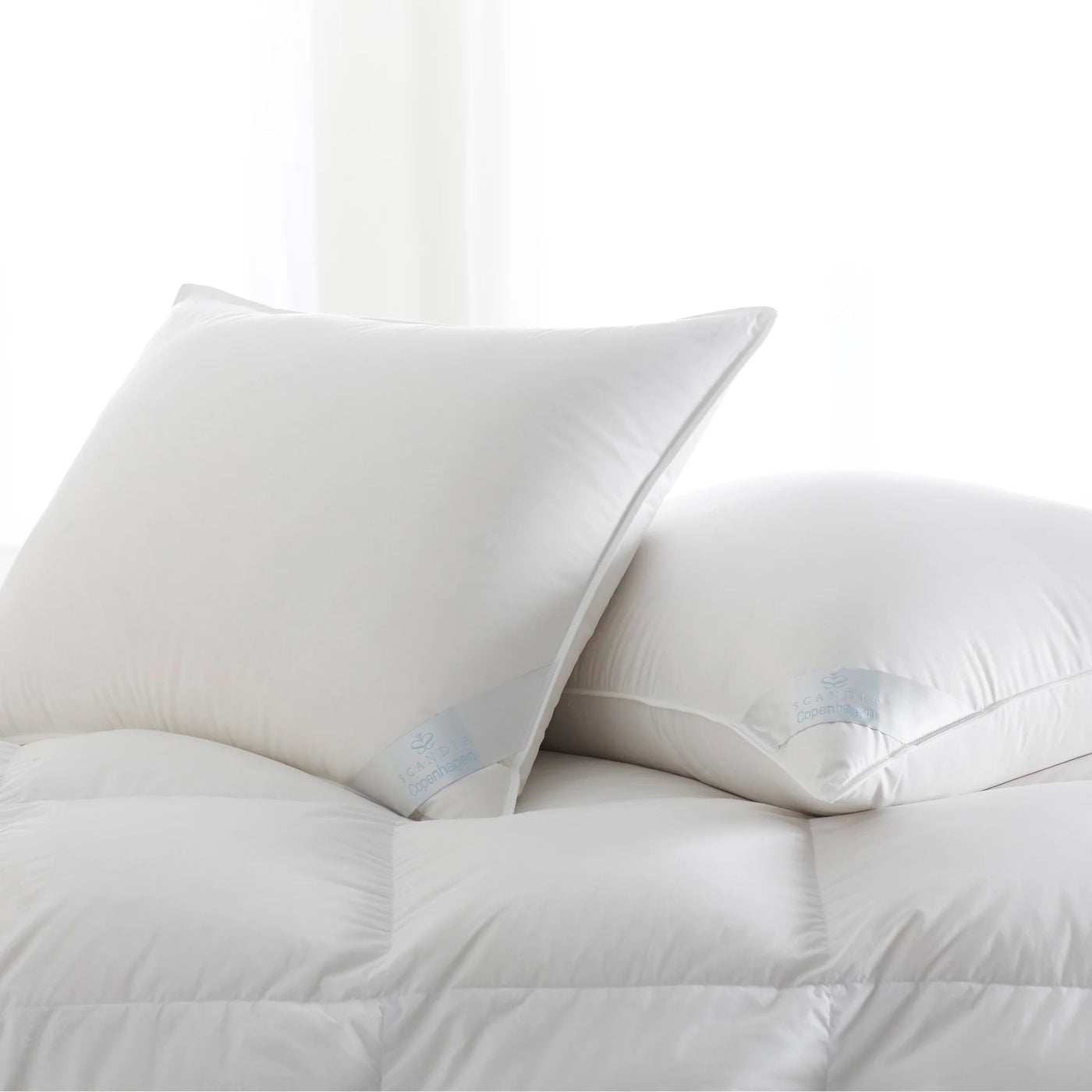 Scandia Home Copenhagen white down pillow pair stacked on ivory duvet near window.