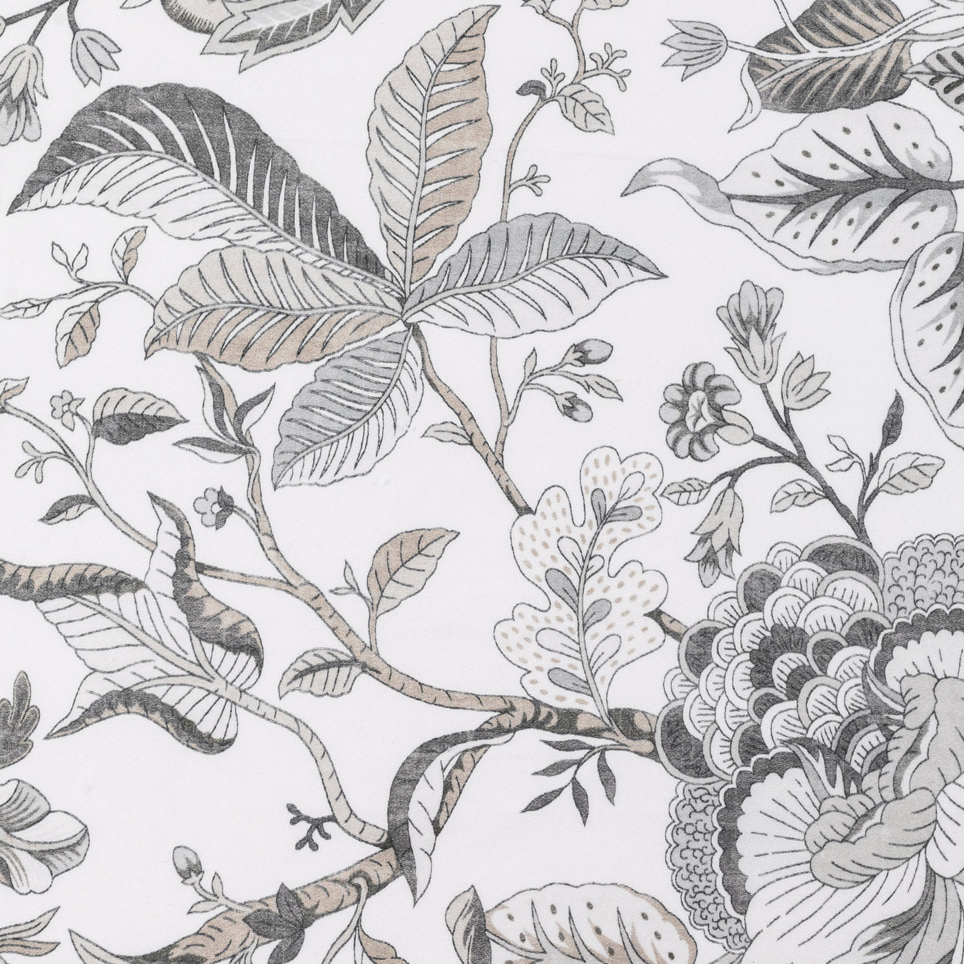 Close-up of Daphne fabric featuring grey and taupe botanical print on white ground.