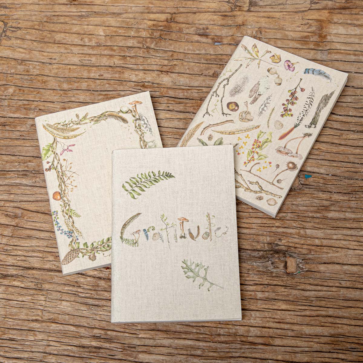 Three Forest Walk journals with woodland covers laid on a wooden surface