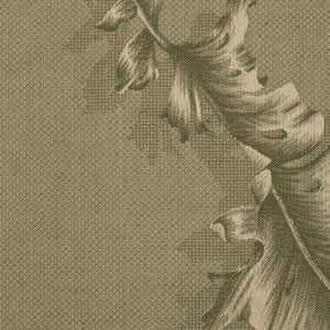 Photo of the Fern | Swatch ensemble.